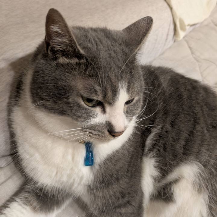 1ad960e4 2d18 4408 843e 43c9bc7f3c59 1750258183444