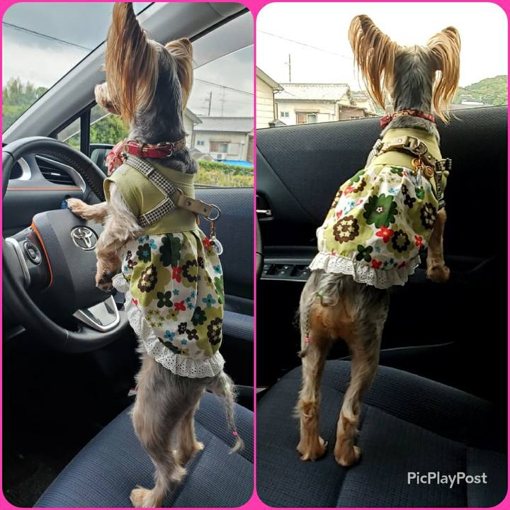 1ad9a0b8 c31e 413f 9fab 7cbd34522cab 1591943031708