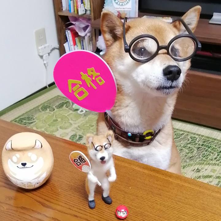 1ad9a778 fd42 4ea8 8bca 2219eff29f7d 1677239768957