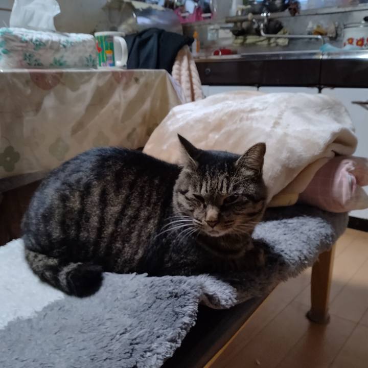 1ad9ac2f 52a9 4c23 95d3 ac35ea18fdc7 1666476683466