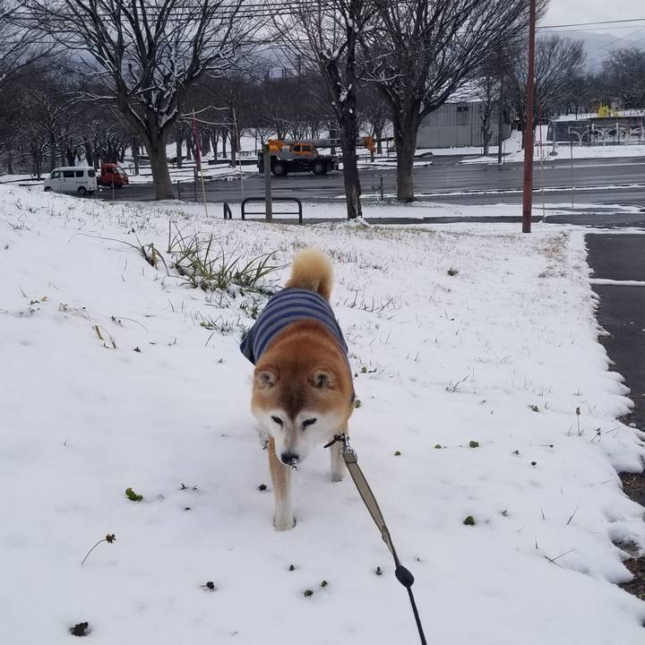 1ad9dd30 4e61 4614 9c30 bbb5e5e80af3 1703215412474