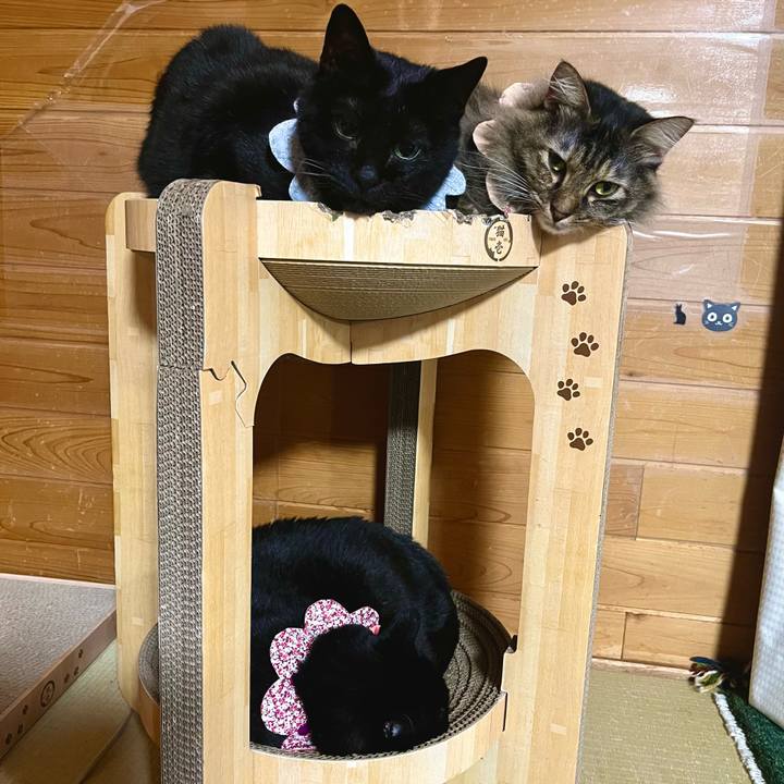 1ad9fbf8 252c 4e2f 8efb 1018227abbc4 1715253339483