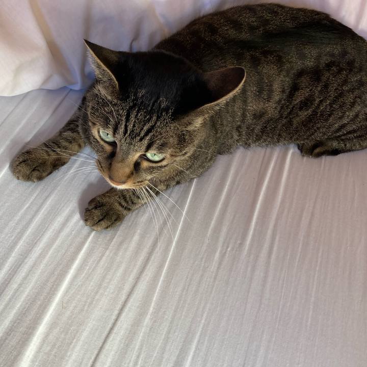 1ada05f8 2be7 4bc3 8429 50e78a6c7179 1672131235620