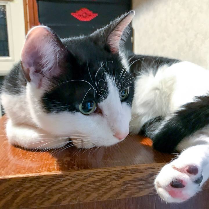 1ada0ef8 6122 4c04 a55a 05c458f1b048 1509455921752