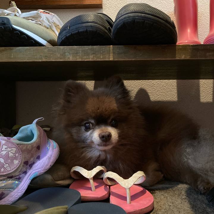 1ada384f 997e 4bbf 8bca 44eb1a4e61fd 1659826243244