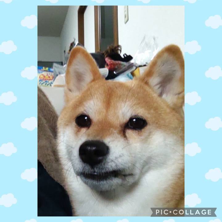 1adabc27 246e 466b 9257 10499cd9b8e1 1738916999032