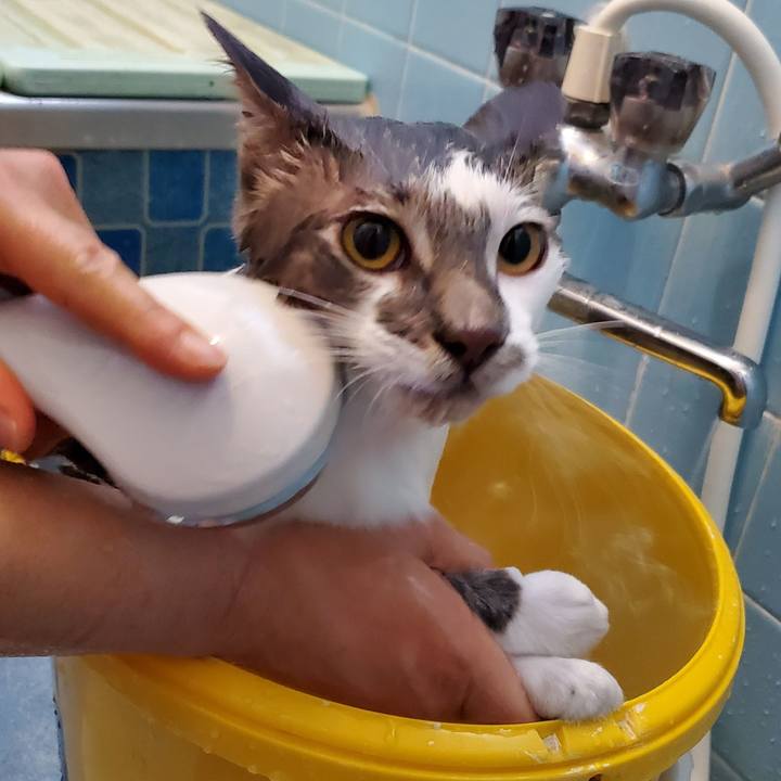 1adada18 f5f2 42c7 bf8f c96404283c47 1690080649572