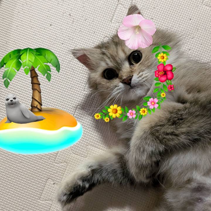 1adb5ec8 5fbe 4efc 8cc1 3c6ac031f250 1720188310299