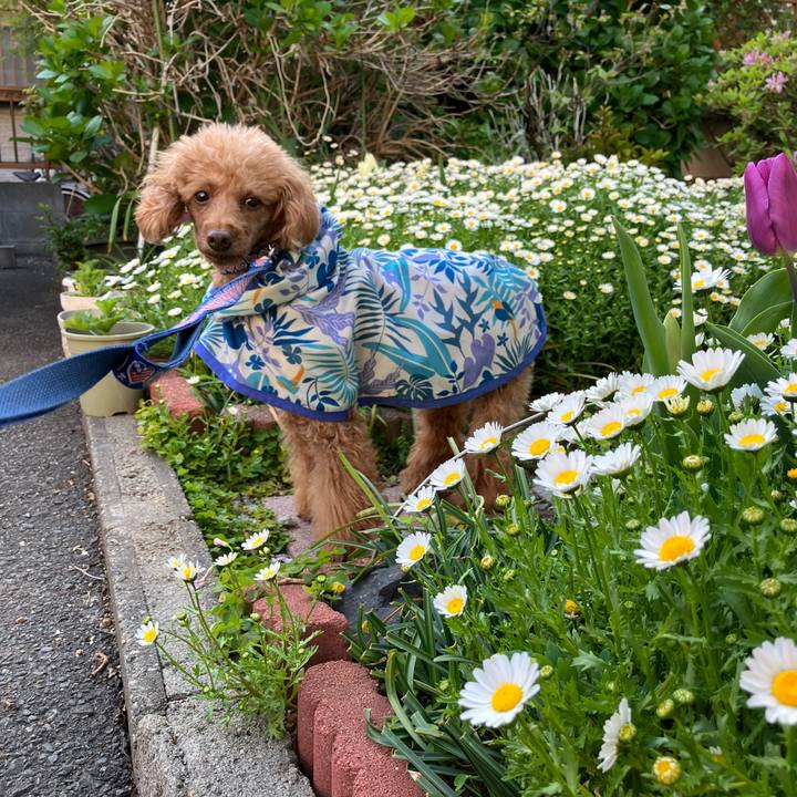 1adba8d4 5857 4ac1 92c9 e807d7c18643 1667695189973