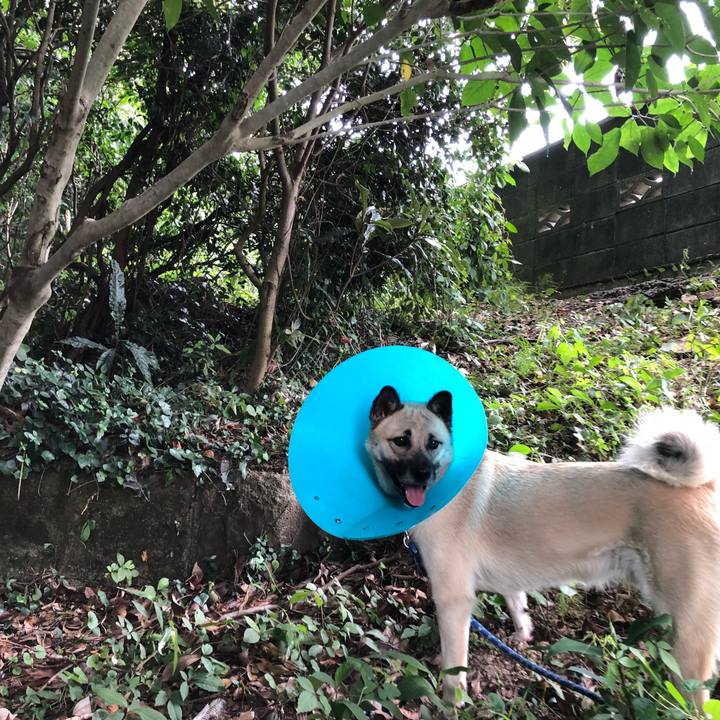 1adbc1eb 3713 4fe9 b6a9 dcd0877f8472 1532771133586