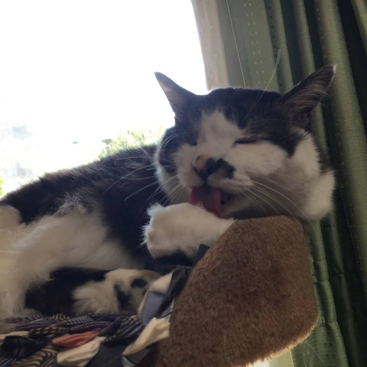 1adc1dcd e120 4cd5 a797 b8c509f8f02e 1556507052311