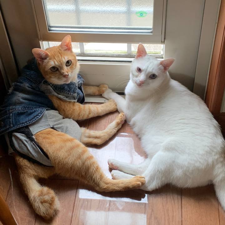 1adc2306 d09d 4a54 92ad f4bd522b0a72 1660968023772