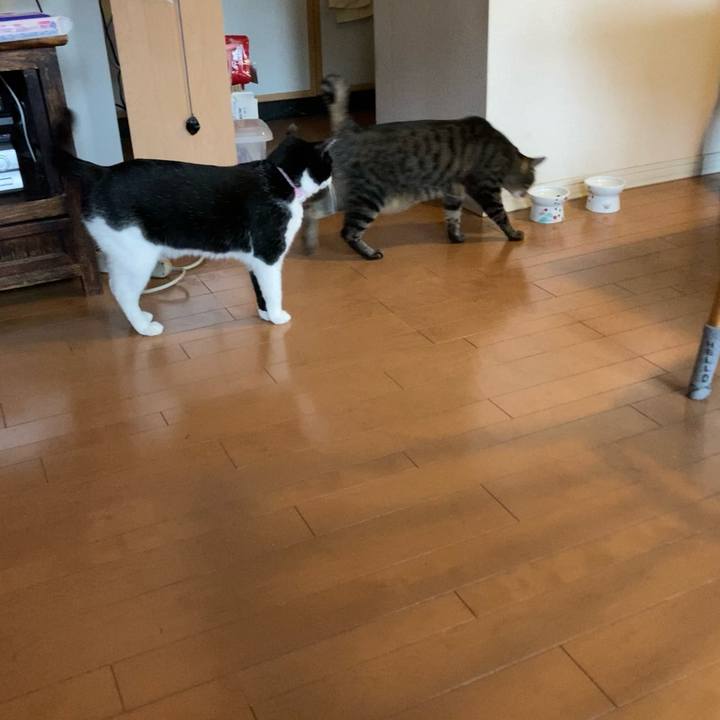 1adc28cc cab4 4bb7 acea 876b5cf99e4f 1659675271160