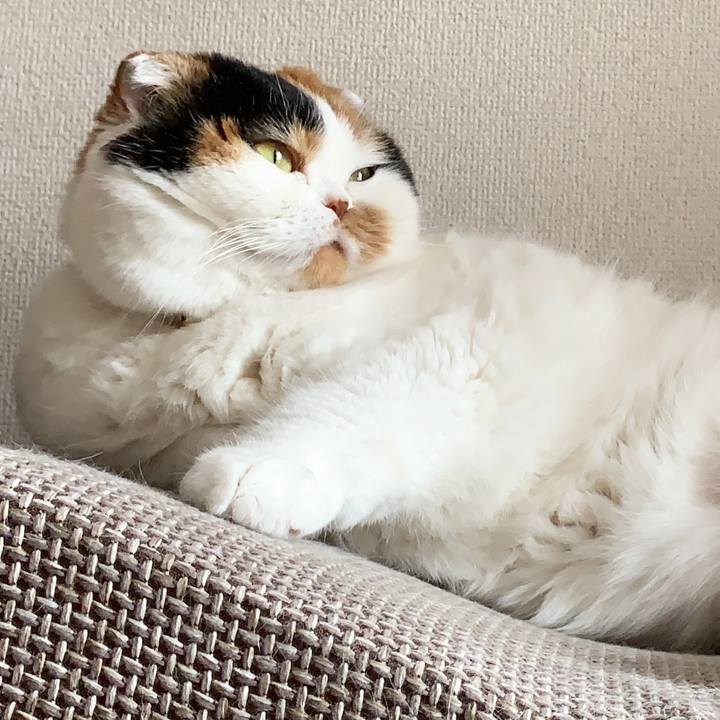 1adc300a f5e1 445f b9ef ab1c8e8ea4c0 1563087151981