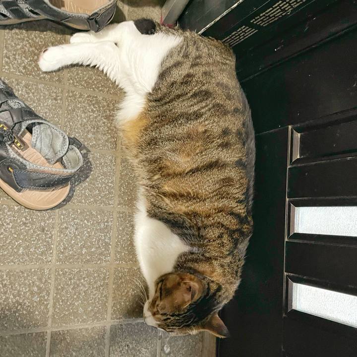 1adc61cd ea8a 4936 9c37 07788df2a1e2 1753742905341