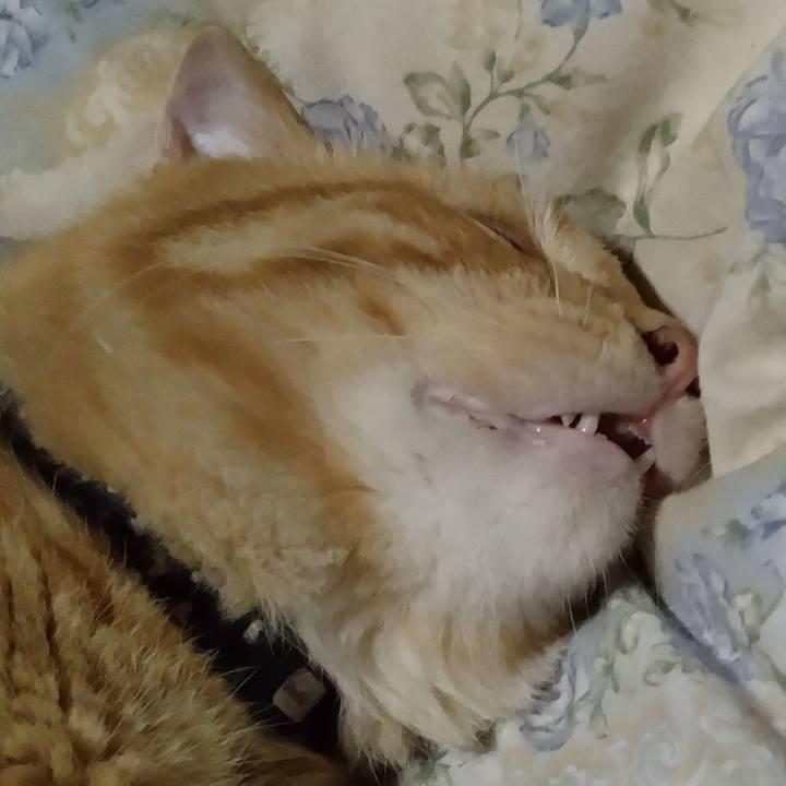 1adc7387 8b64 4acd 997a d75949988a4b 1663504196341