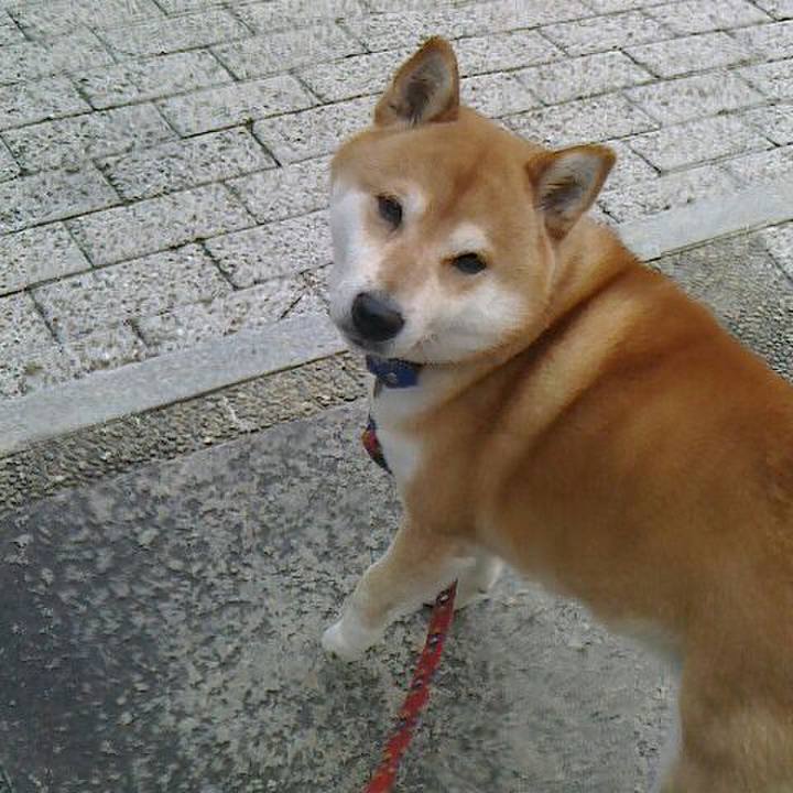 1adcb5a1 e4b3 4f32 9633 0abf089afbde 1555147537371