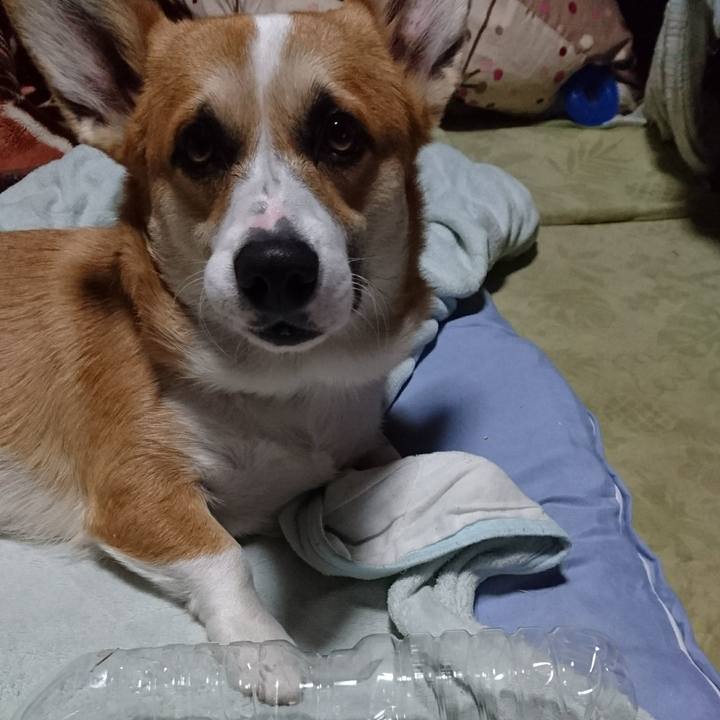 1adcbb85 f6bd 4cfc 8786 2ada4845c833 1575959895463