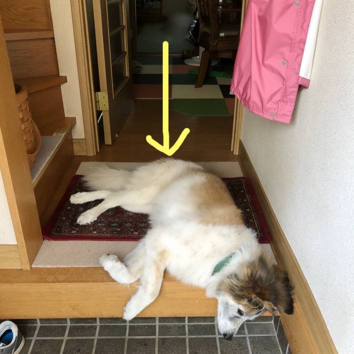 1adcbcd6 0a97 4610 9cd5 c8e352a56c1e 1532042802926