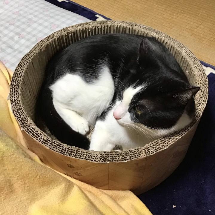 1adcf5b7 d498 4794 8a1a 2d5b00bb9678 1706435636898