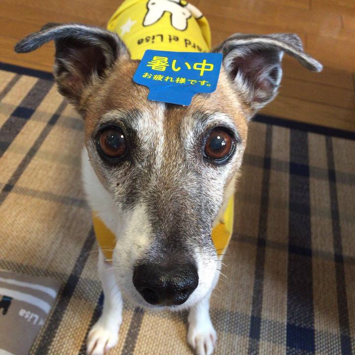 1adcfdf6 9790 43d0 80d2 2cac6baeabe1 1723295977455