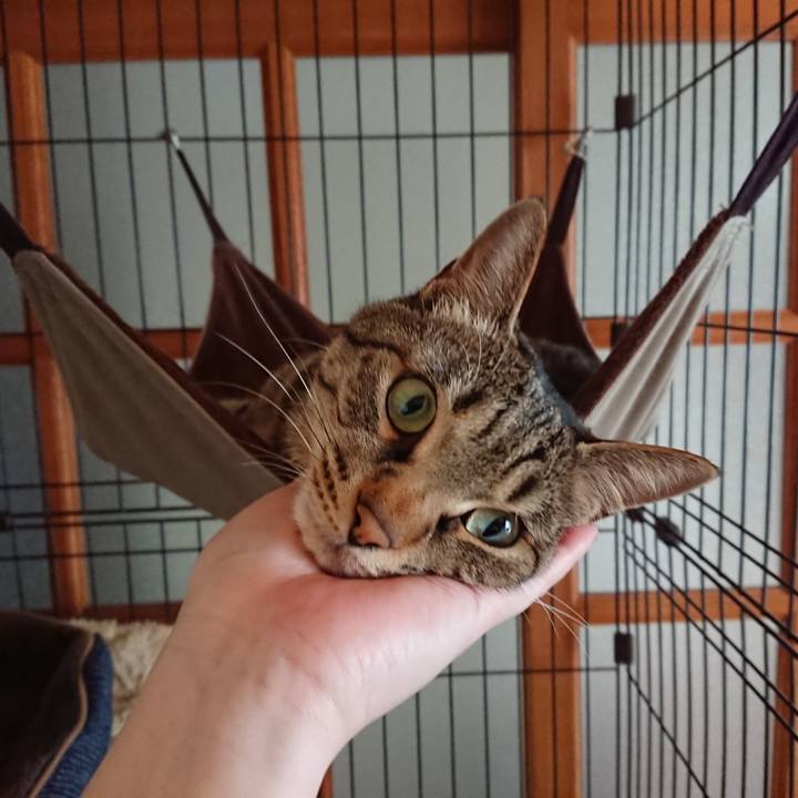 1add0919 9fa8 4acb b373 eaba42d2c8b8 1557018440942