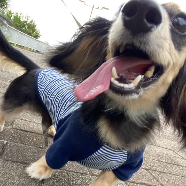 1add2fab 87cd 4018 85c7 28b02032b89b 1724195354437