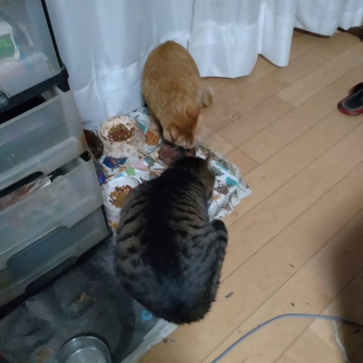 1add4208 44b5 4dfc bfe8 b90228609122 1677108181264