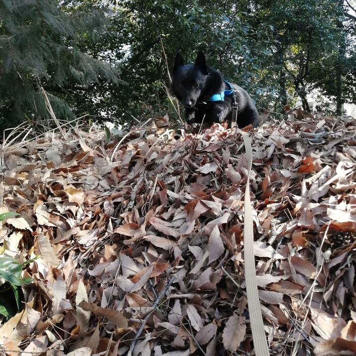 1add6c03 ed5b 4fe4 8fa9 9dd312fc0d14 1613178748943