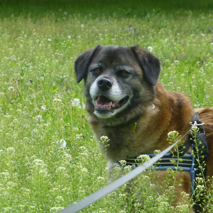 1add7566 6a53 4b8b a8e7 bc4810fd435a 1579740407684