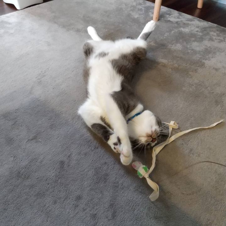 1add7b41 bde3 4a6a 8620 faf2a4b06df7 1601521376914