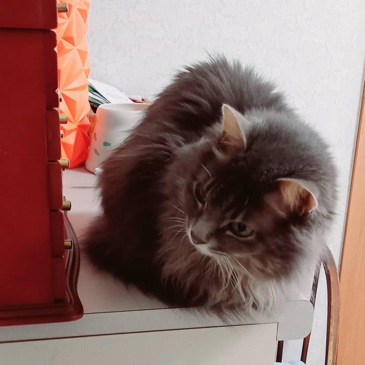 1add87b5 f00c 4e20 8587 8116e66ad56f 1643317442760