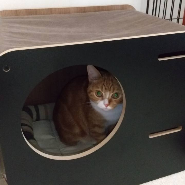 1add9e29 e735 4fb3 950d 3b7ea77854a2 1635305662093