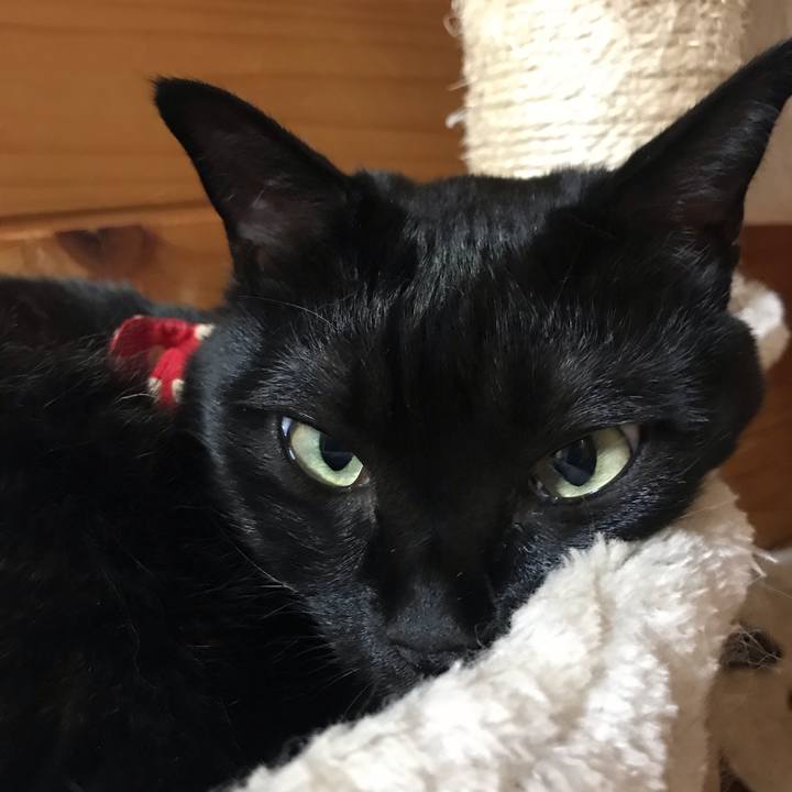 1addb634 31ad 4483 a724 ef5458d8e657 1551492716874