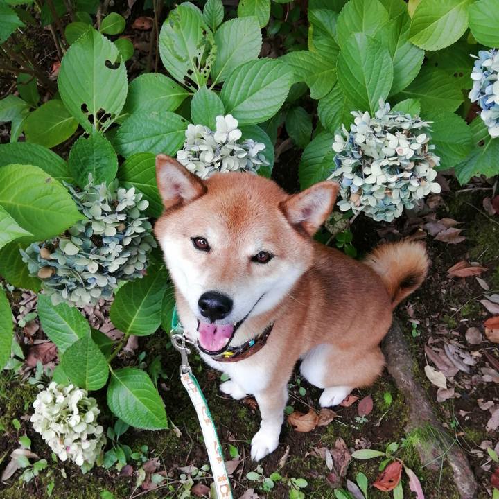 1adde43d b6b2 4e78 a566 4cda20cae15c 1627690796608