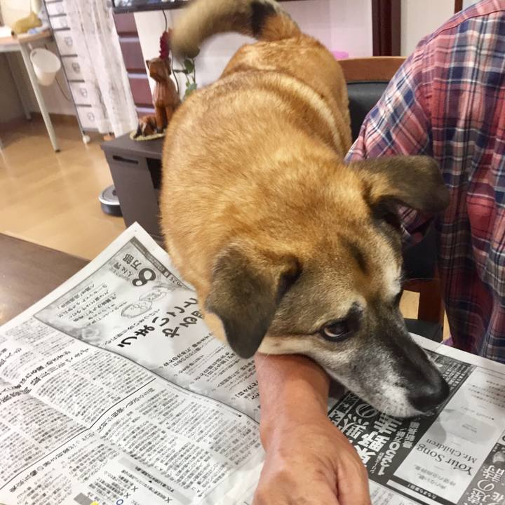 1ade0ee4 10d6 4201 8a5f 0fc69cb513fb 1539385692005