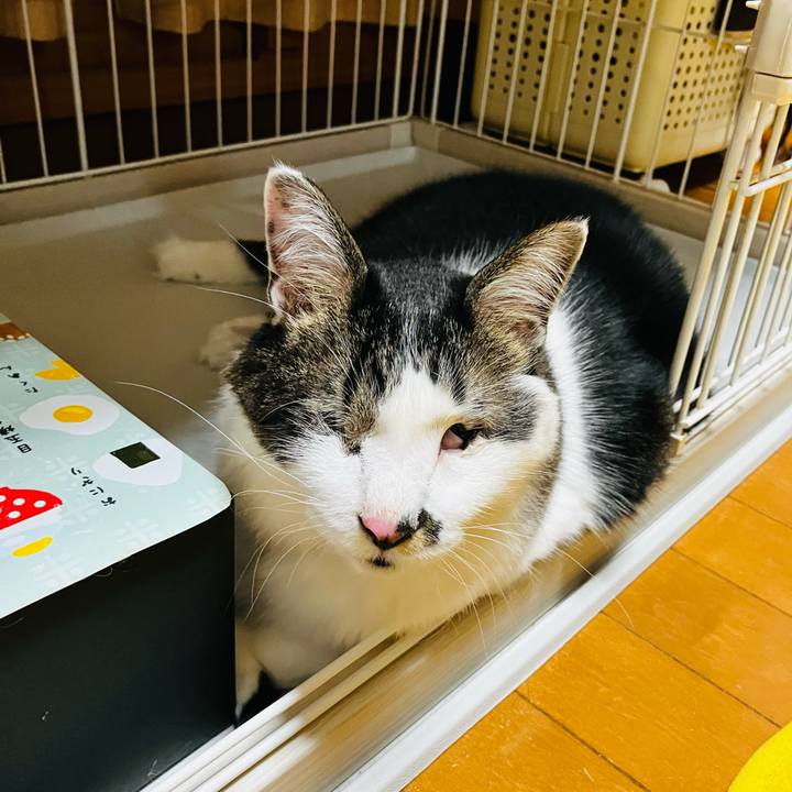 1ade12f5 dc70 4b90 9c42 38044af72e35 1741476279910