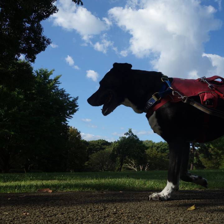 1ade41d2 356e 4d20 b55f b5016fecdb38 1695946539607