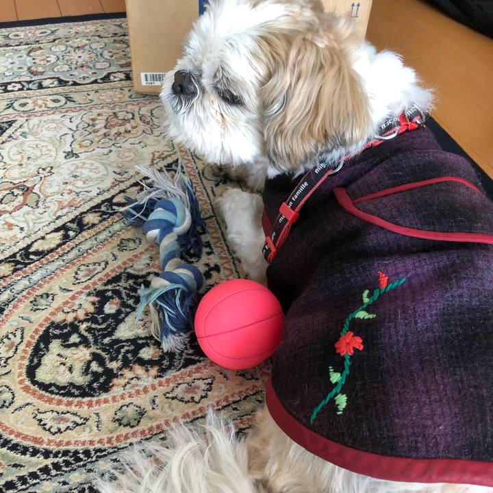 1ade672b cd65 4448 b746 5853286d01c6 1613771653409