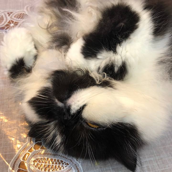 1ade933f 5a79 4284 bd7f 5e8f5b93a445 1537713941333