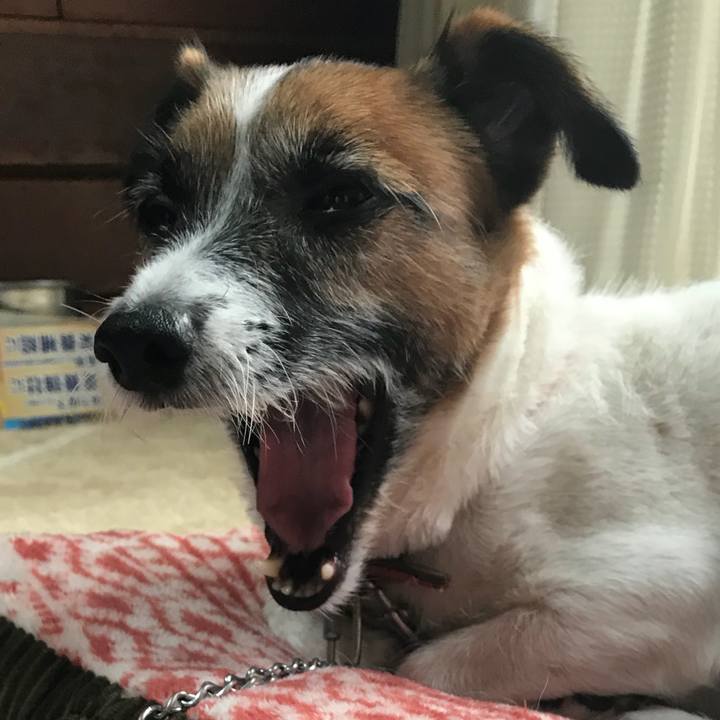 1ade97cb 44af 48c0 afb0 5d381ad5728a 1539386890926