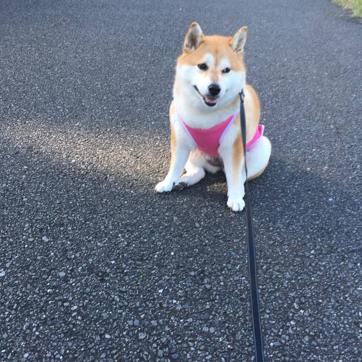 1ade9a52 408f 42fe 9499 302a85202dd4 1568677469516