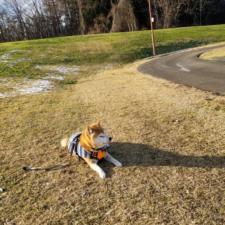 1ade9e2e fecc 4348 976b de59ce8acbc7 1639546397729