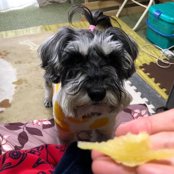 1adefe82 0990 4619 9faf 493c6c5cc744 1521612206277