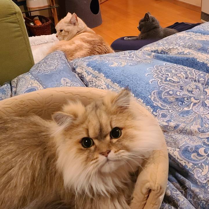 1adf0d83 d689 4422 b3aa 1aaf3fa97842 1614297803035