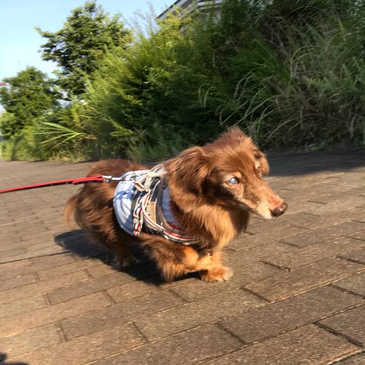 1adf4177 75b7 49dd 876a 2cc2efbec056 1533166228916