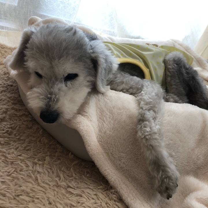 1adf50d9 5120 4f0f ab38 6dfb13740416 1660009949957