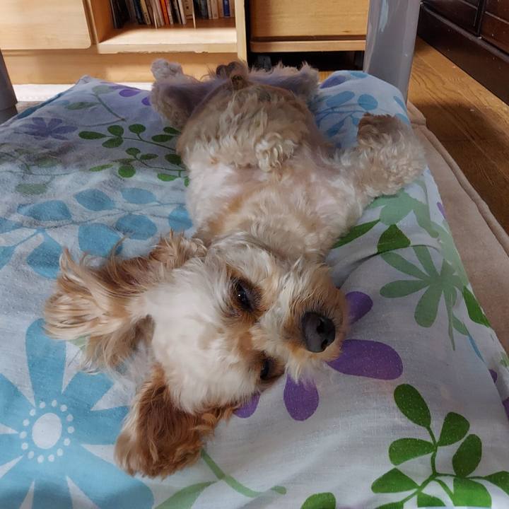 1adf8c2d 9eaf 453a bae0 92e90e0f3467 1628216497306