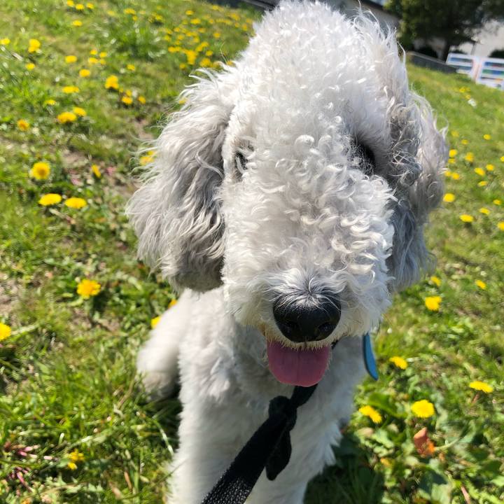 1adf8c62 64c5 4127 a062 cbecd30d8462 1586586530369