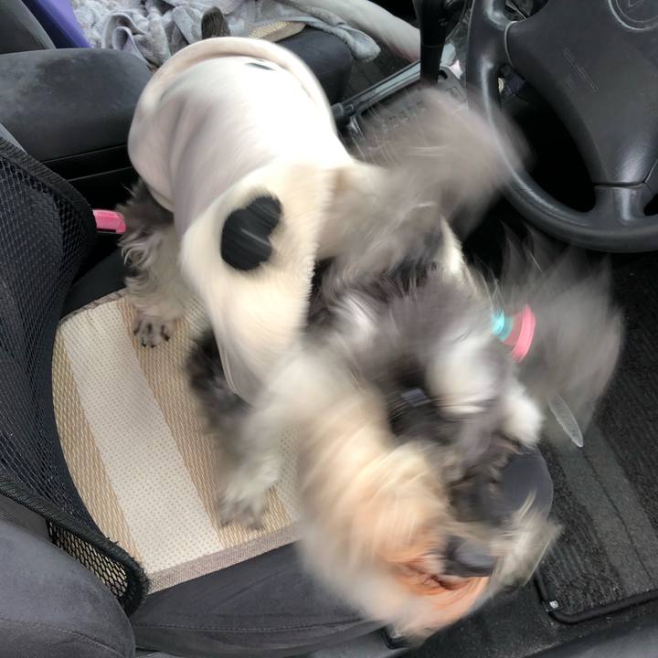 1adf8d79 648d 4a39 aae4 630b0429ca40 1552824367541